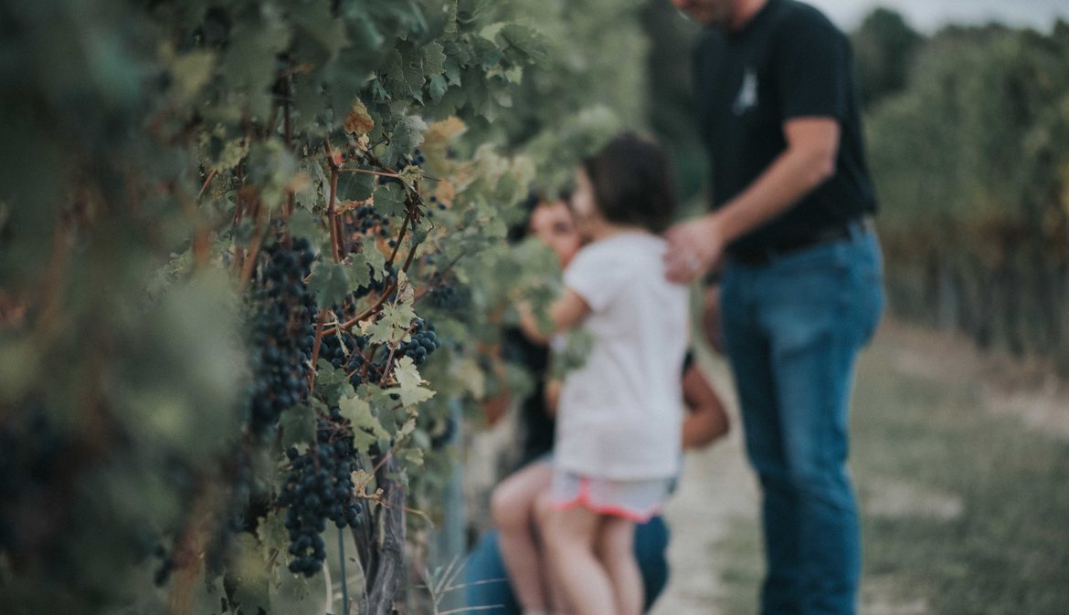 family in vineyard