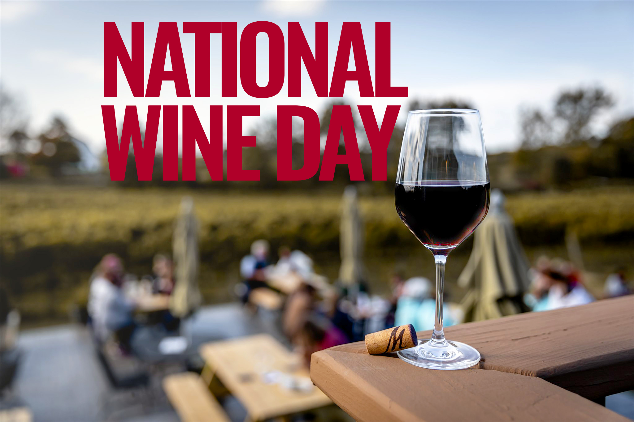 Celebrate National Wine Day with Our New Releases M Cellars Winery